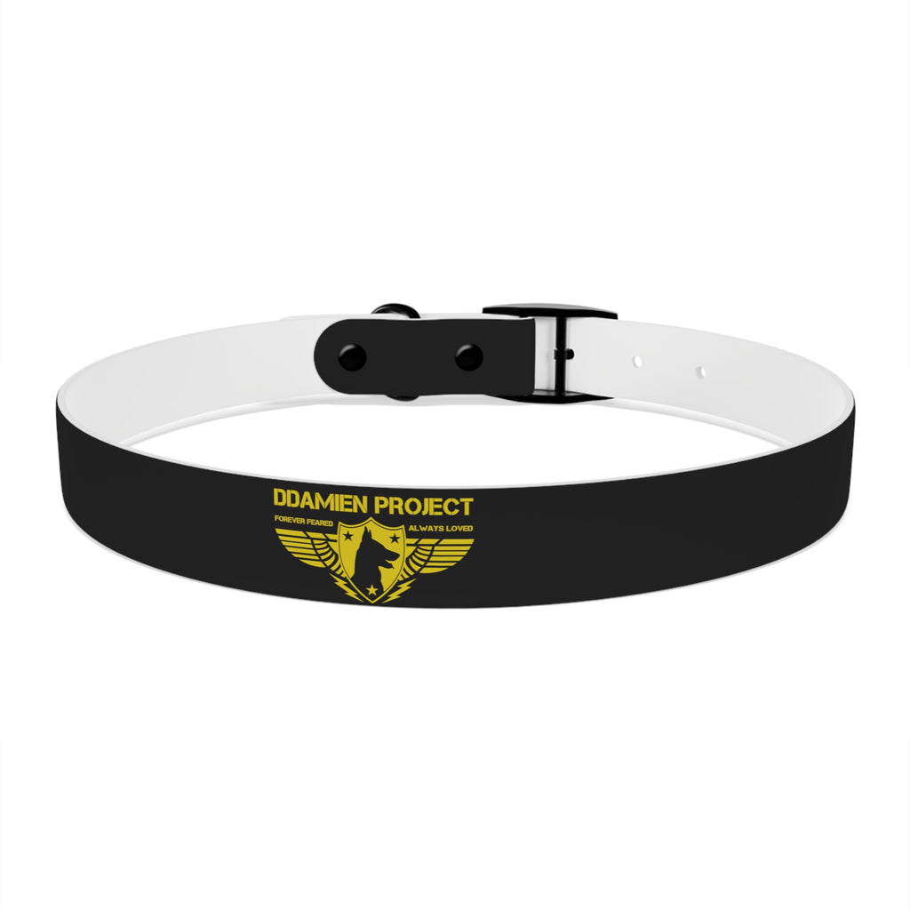 Dog Collar