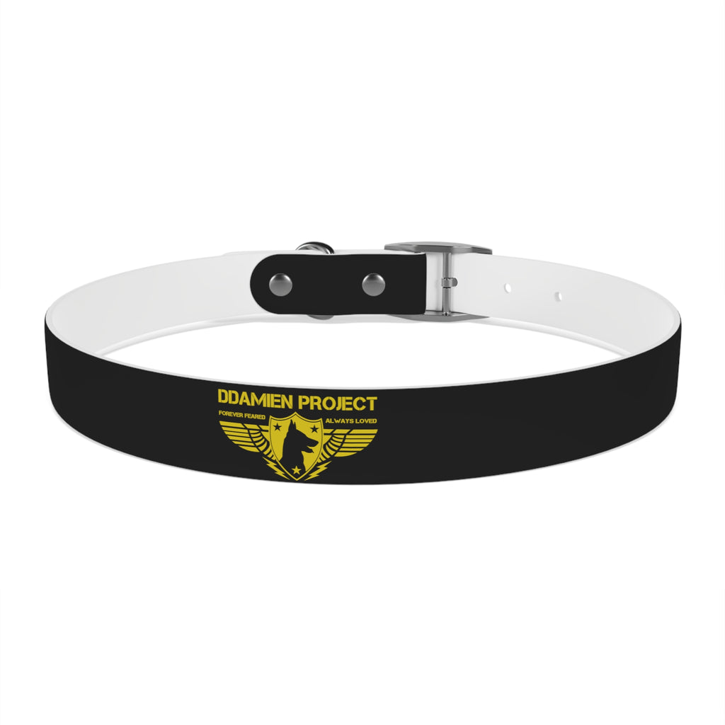 Dog Collar