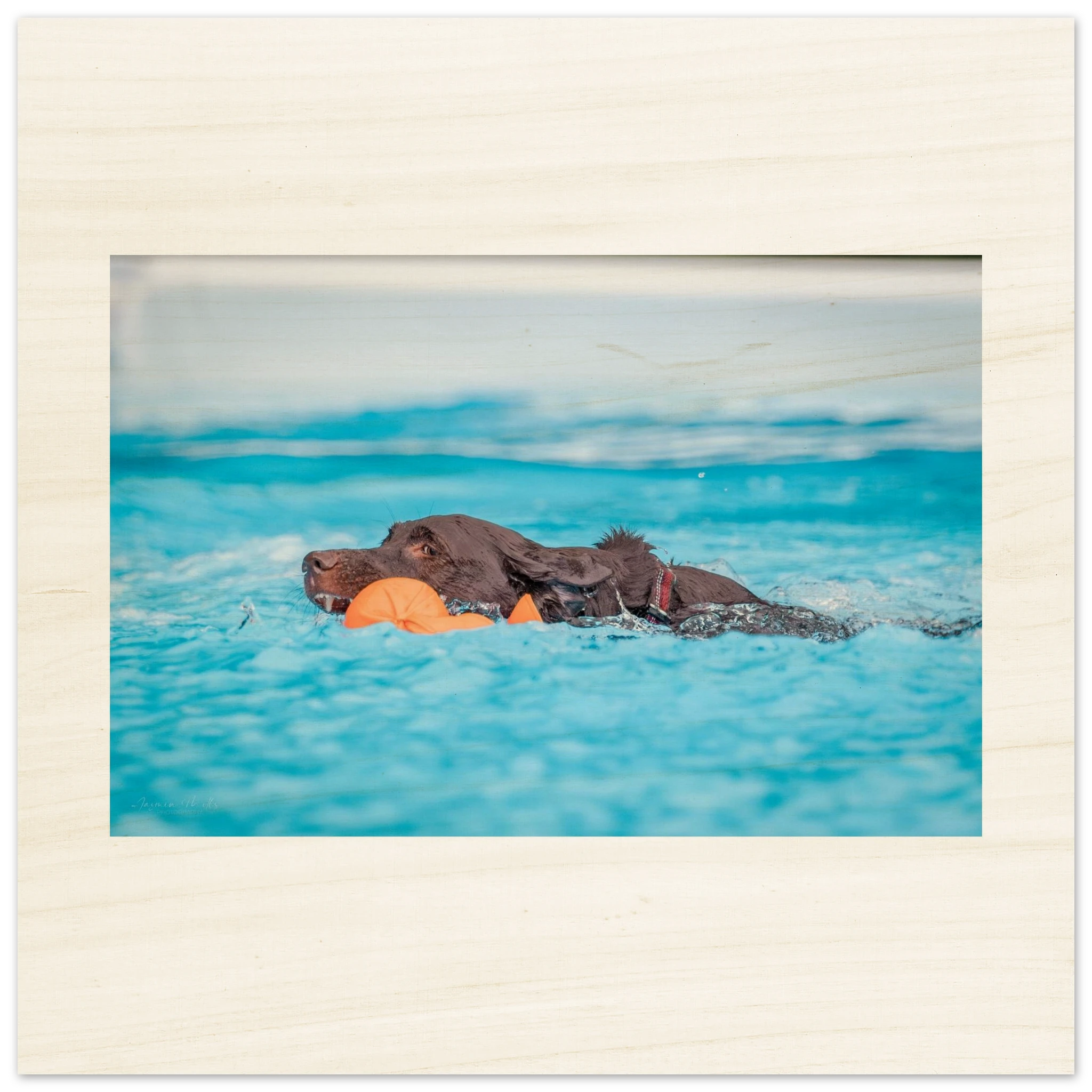 177035d8-ebf2-4425-aa7b-54689549fb23