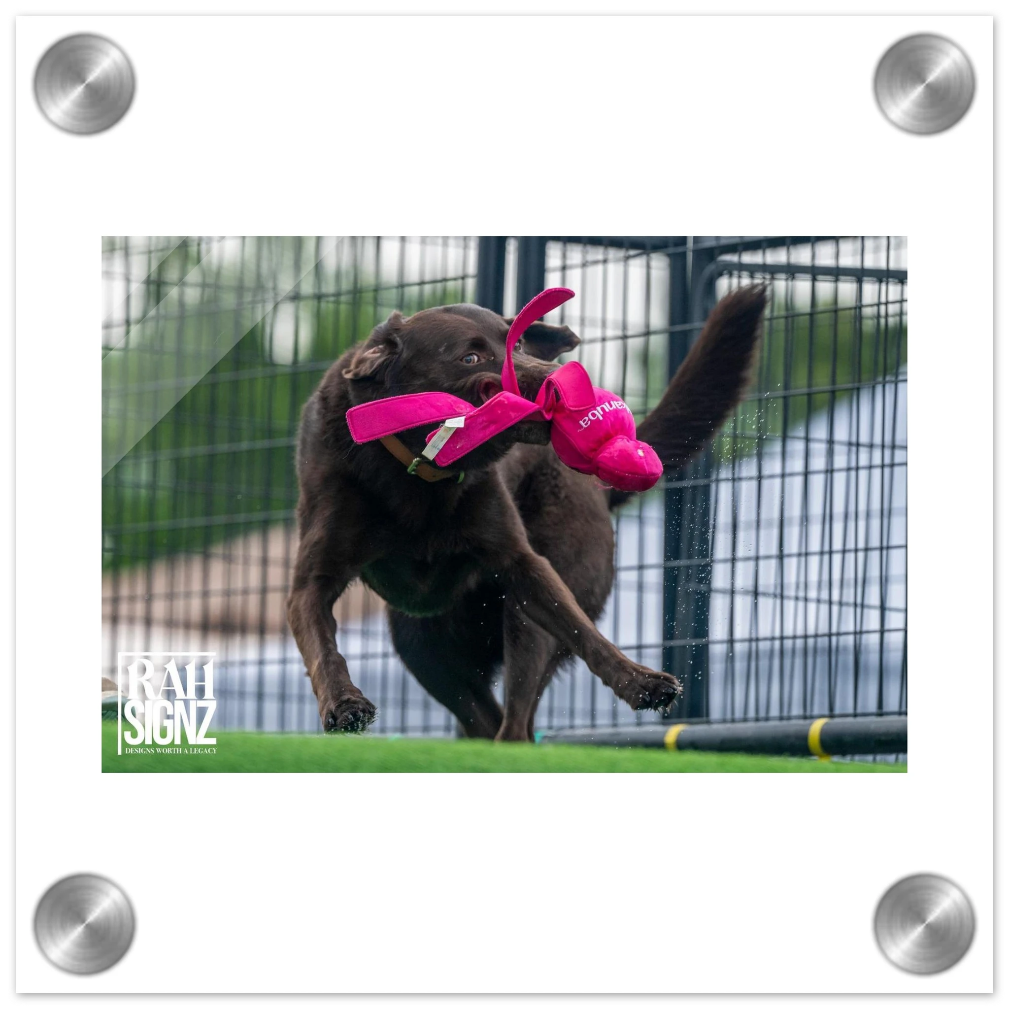 574dd3bc-2f46-49e4-bc68-9a213df848fc