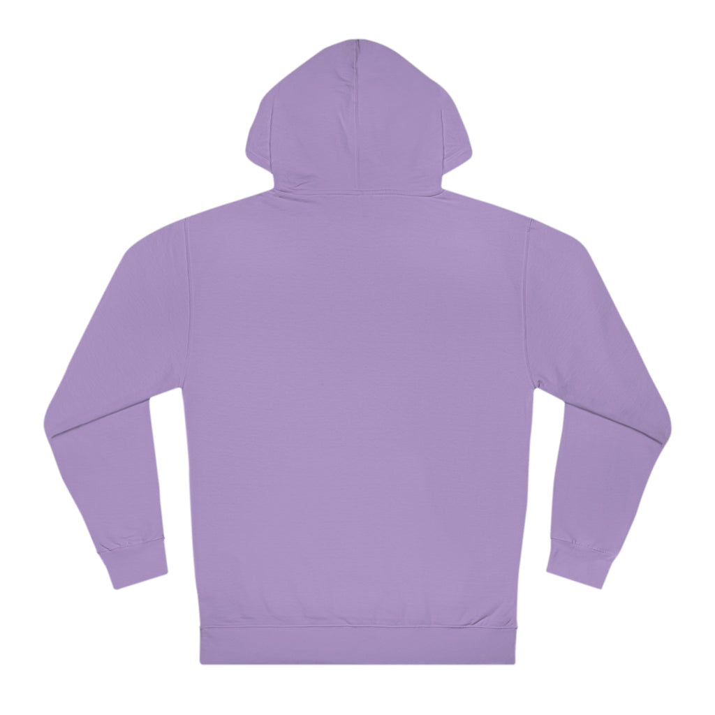 Flying Carnage Hooded Sweatshirt