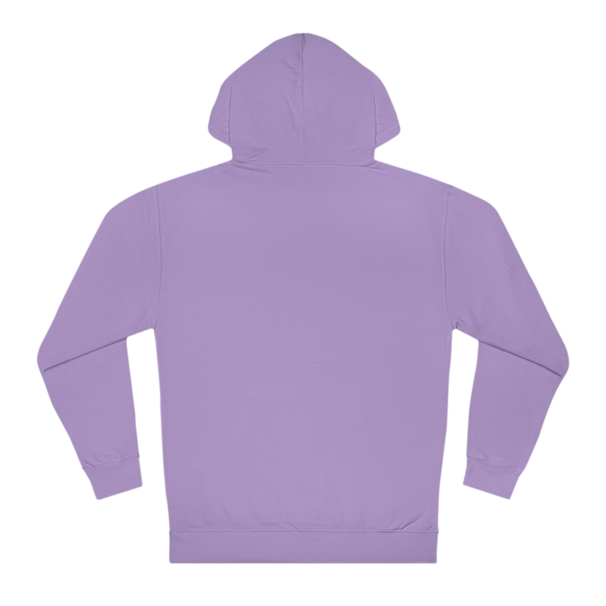 Flying Carnage Hooded Sweatshirt
