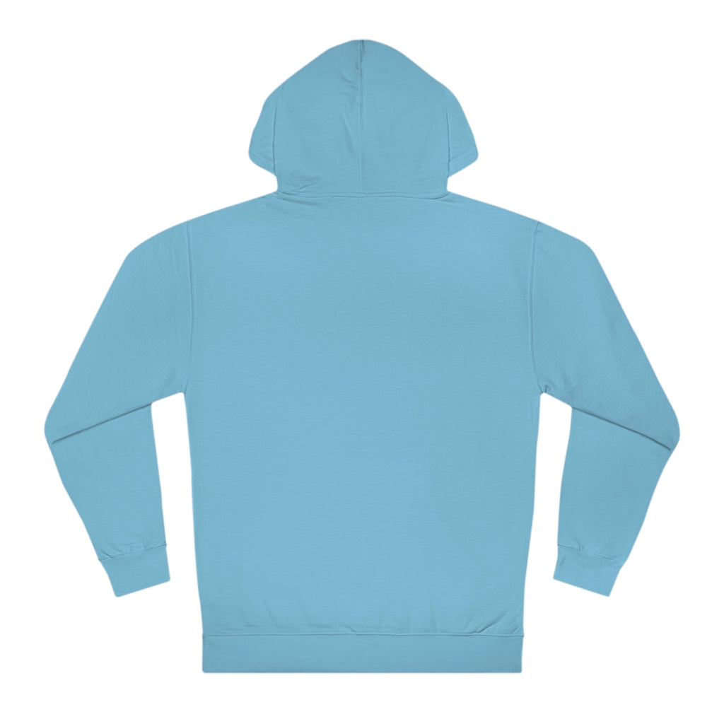 Flying Carnage Hooded Sweatshirt