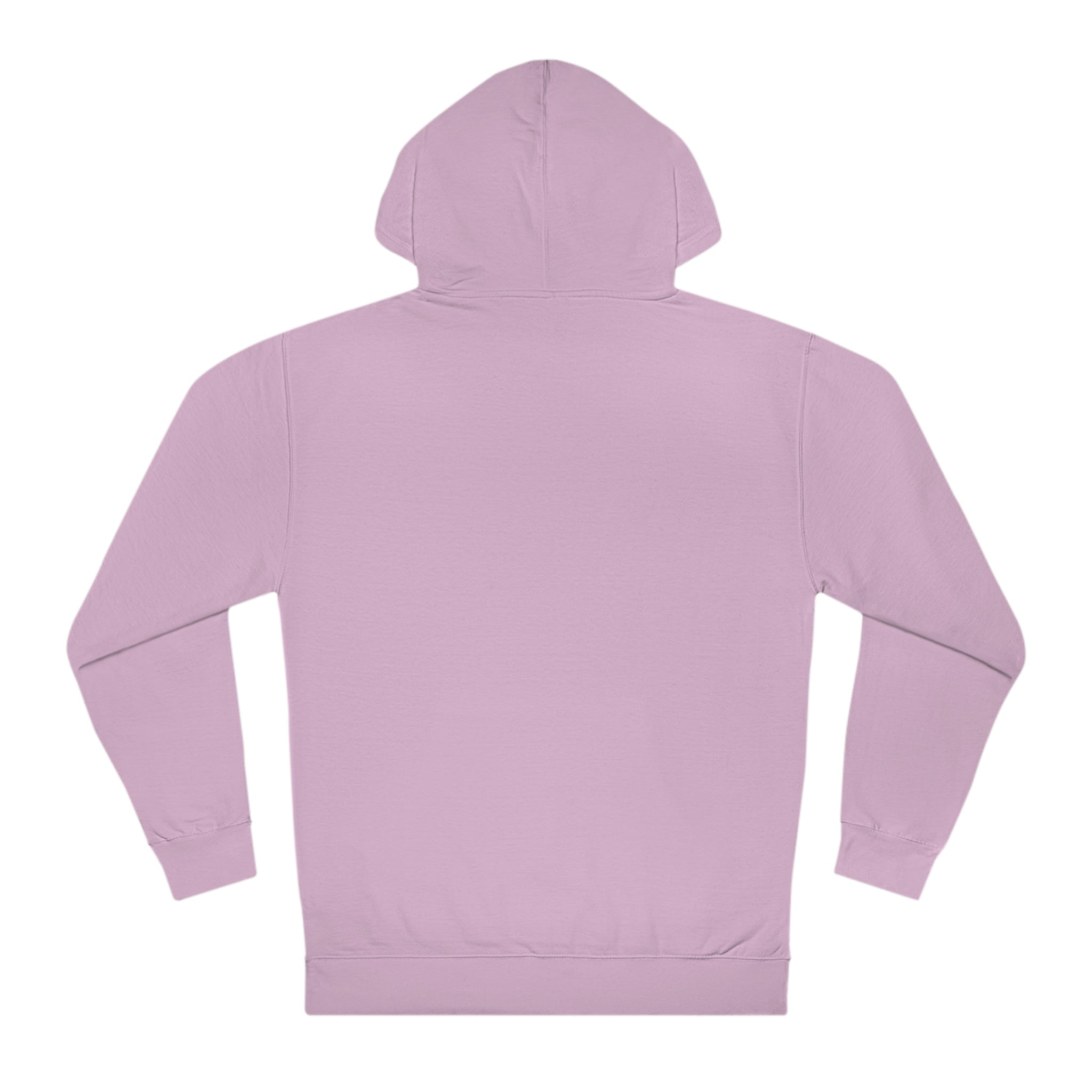 Flying Carnage Hooded Sweatshirt